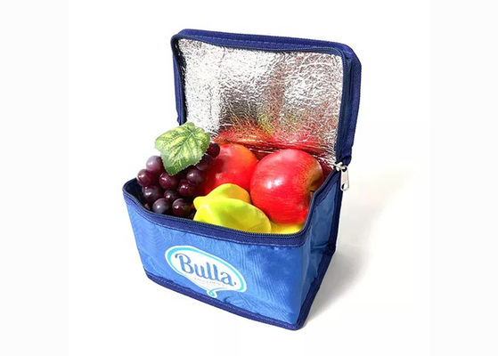 Waterproof Insulated Lunch Bag
